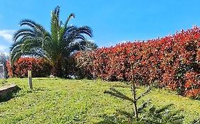 La Bella Addormentata